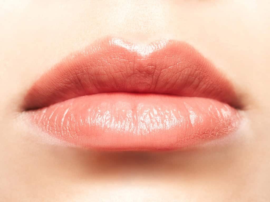 Beautiful Lips Model